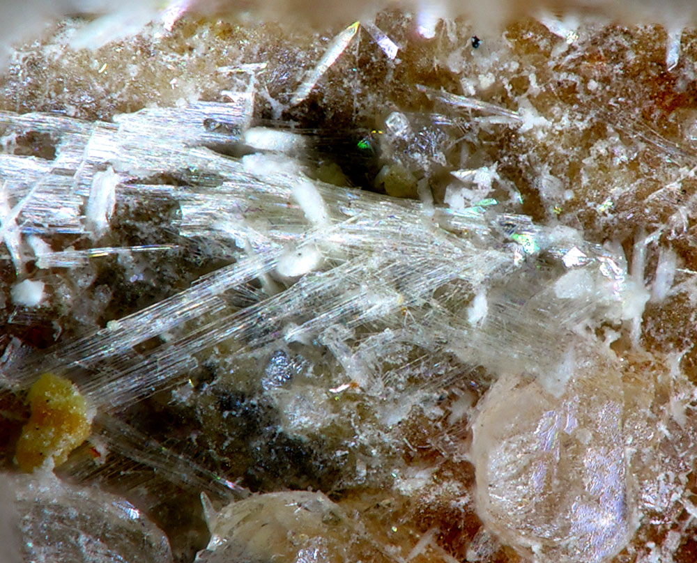 Schultenite