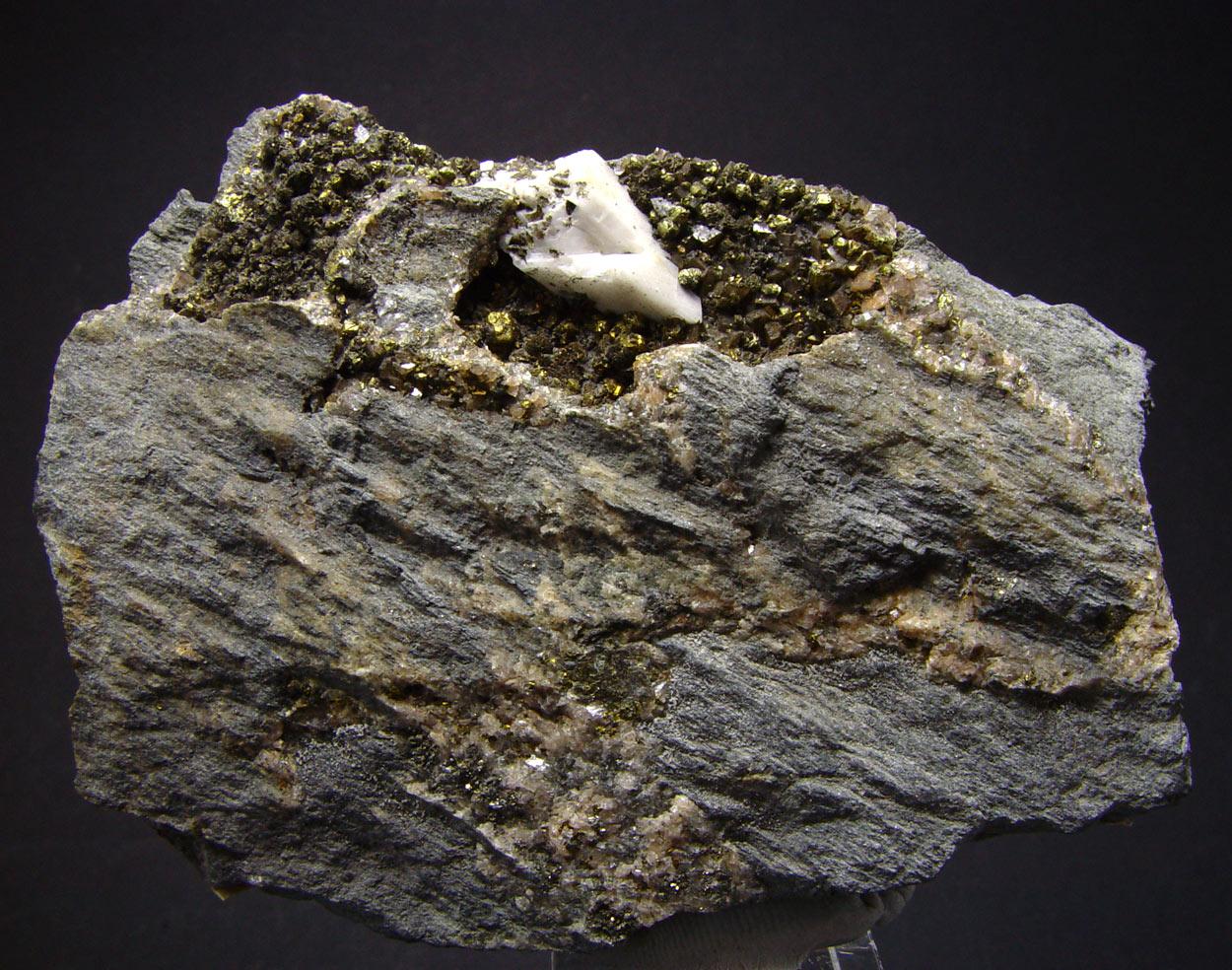 Whewellite