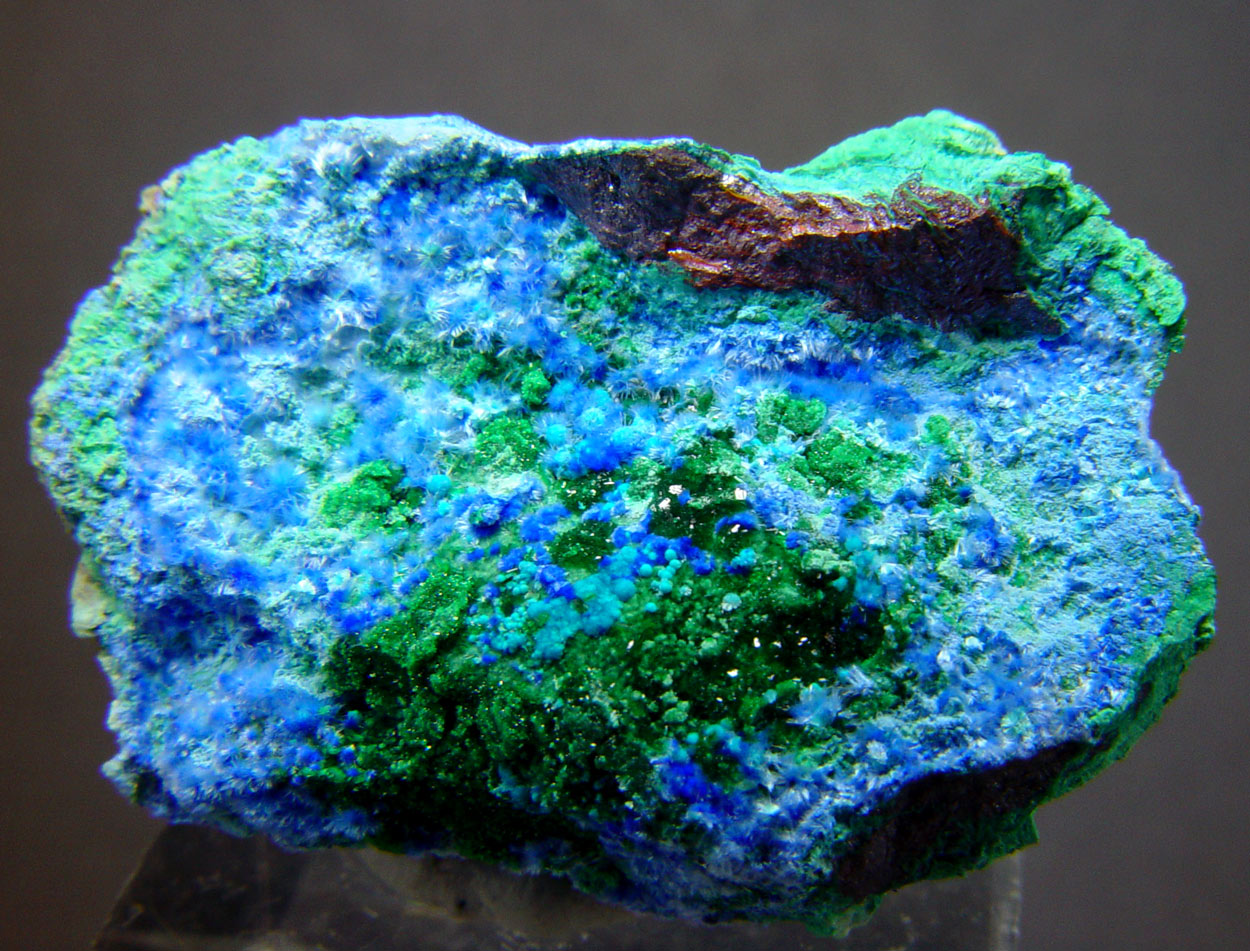 Carbonatecyanotrichite & Cyanotrichite