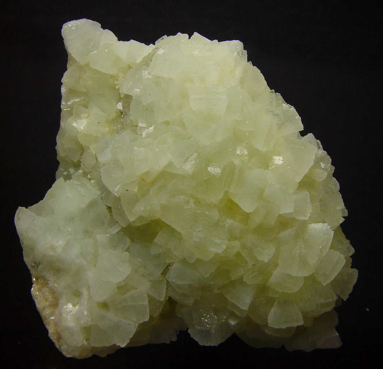 Prehnite