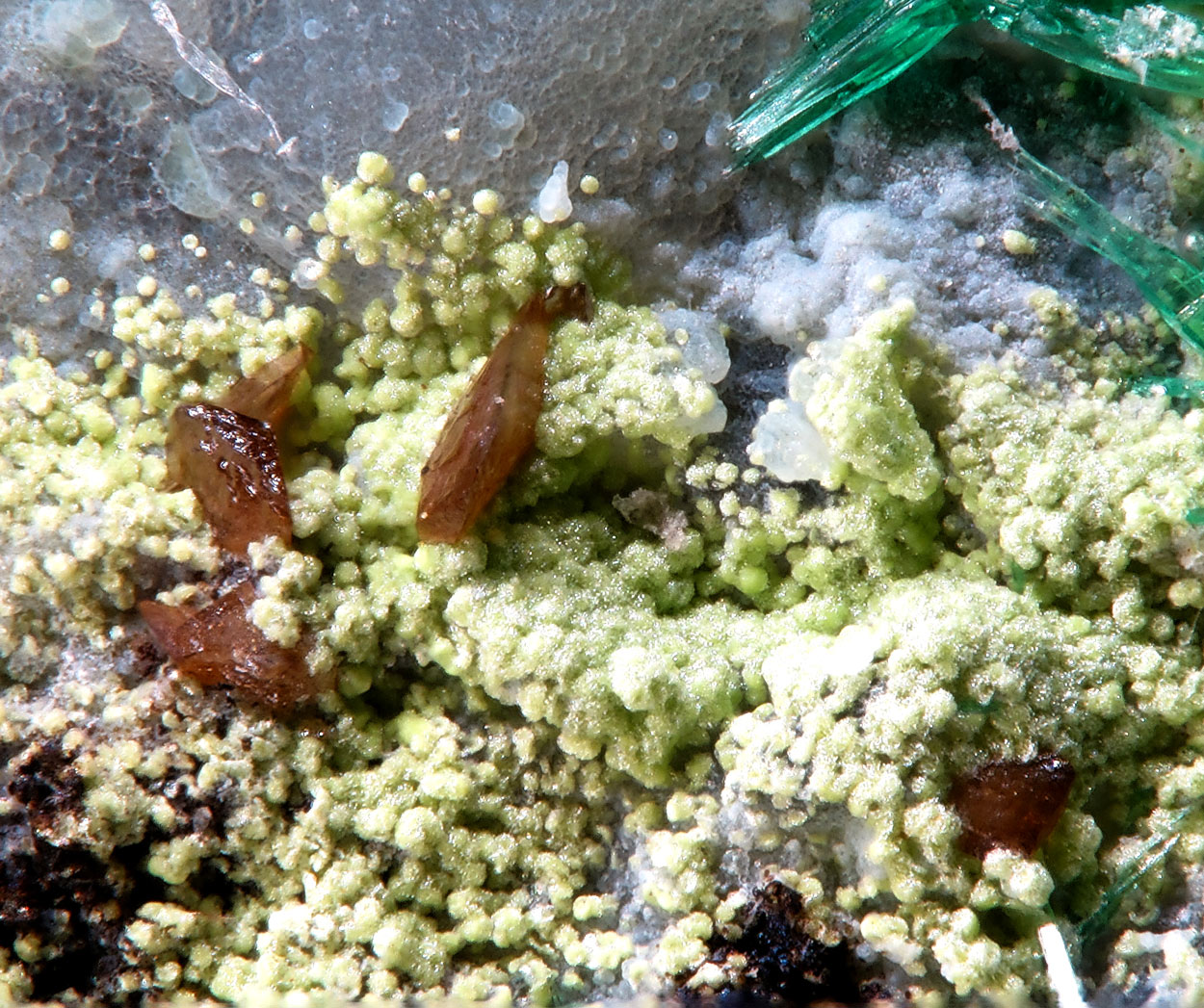 Hechtsbergite & Eulytine