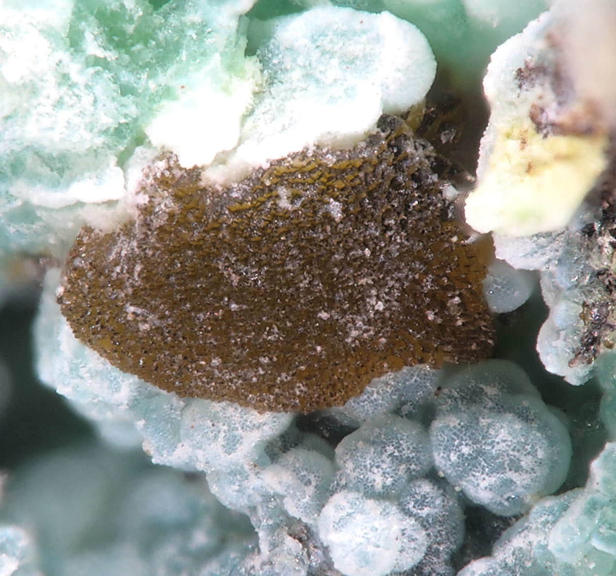 Hechtsbergite & Eulytine