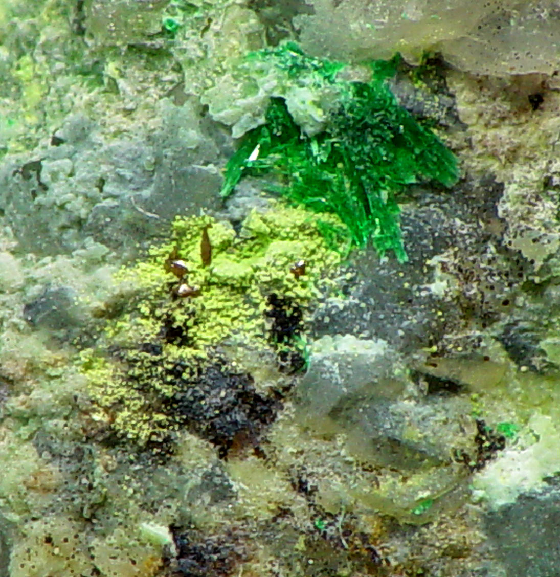 Hechtsbergite & Eulytine