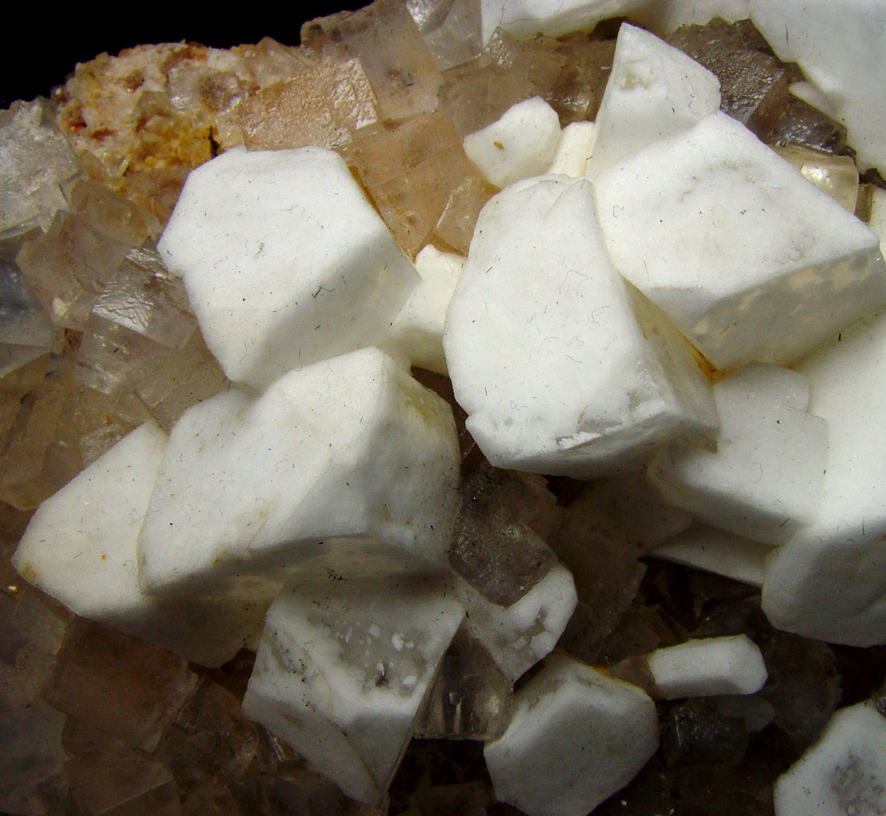 Leonite Psm Picromerite & Halite