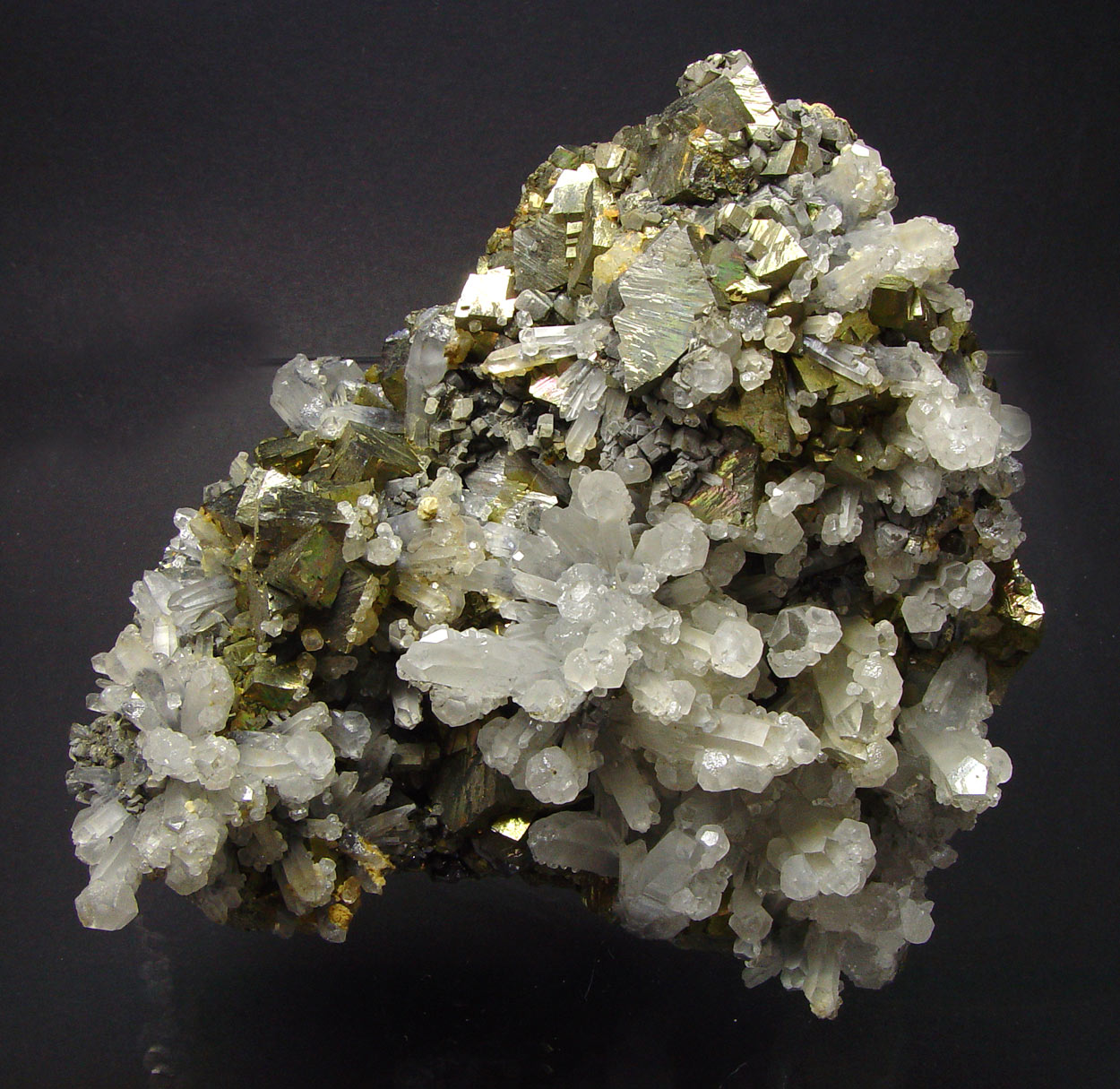 Arsenopyrite & Quartz