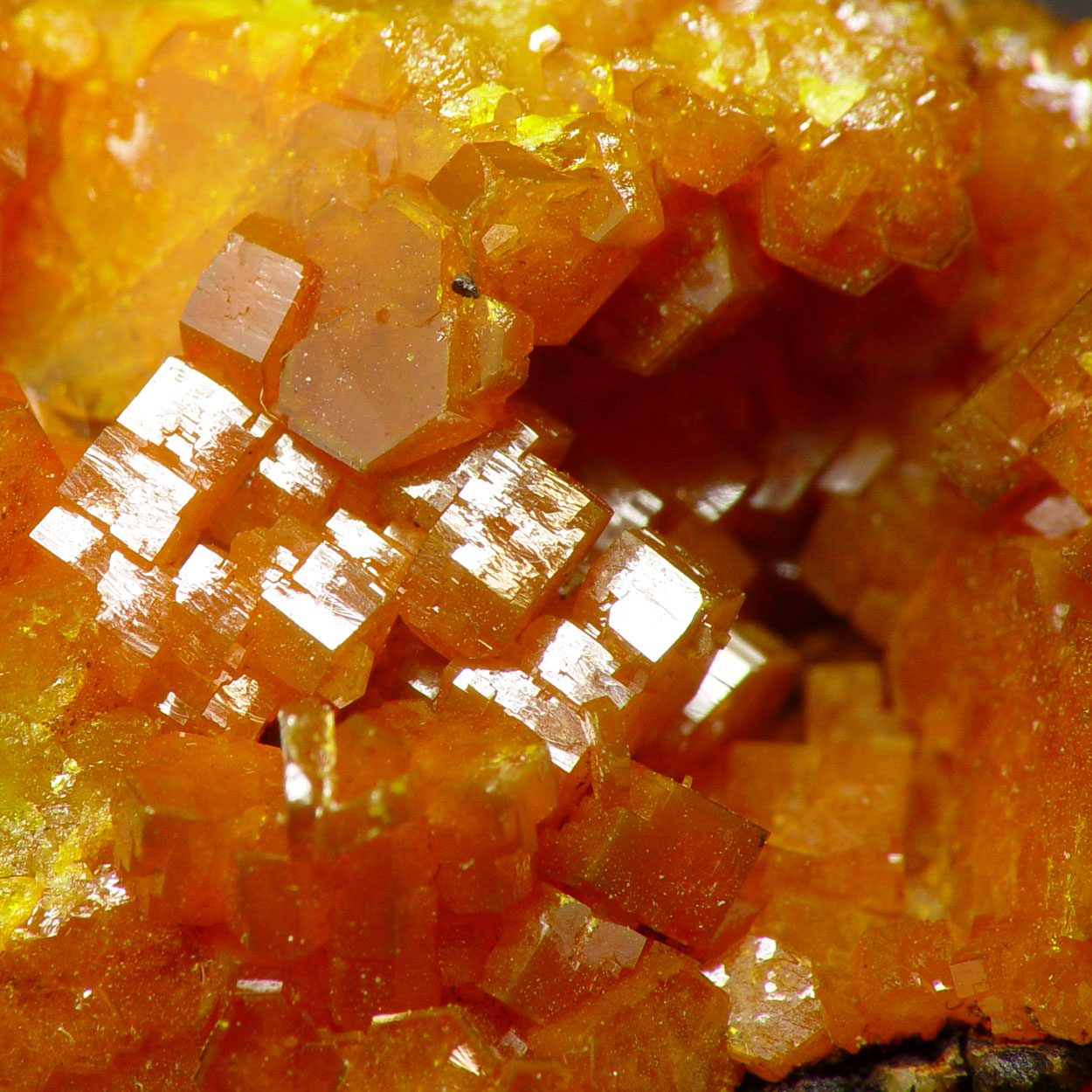 Mimetite