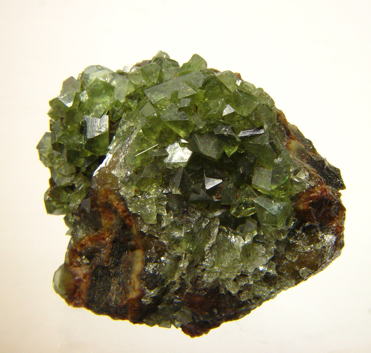 Ludlamite