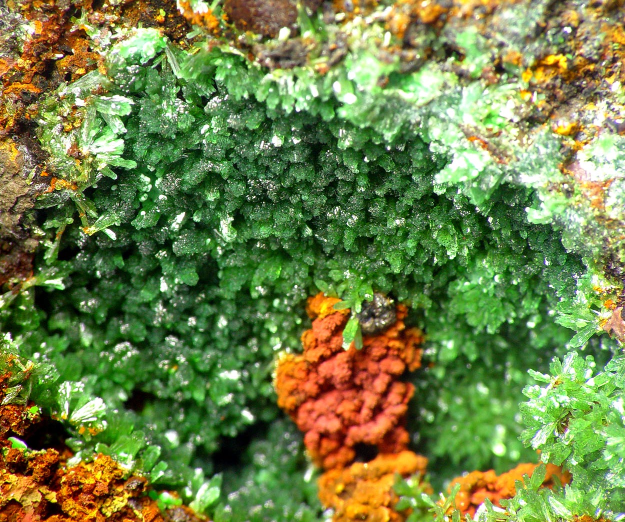 Olivenite & Conichalcite