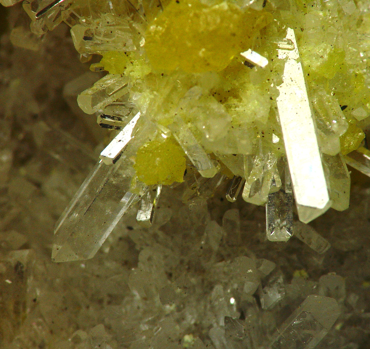 Celestine & Native Sulphur