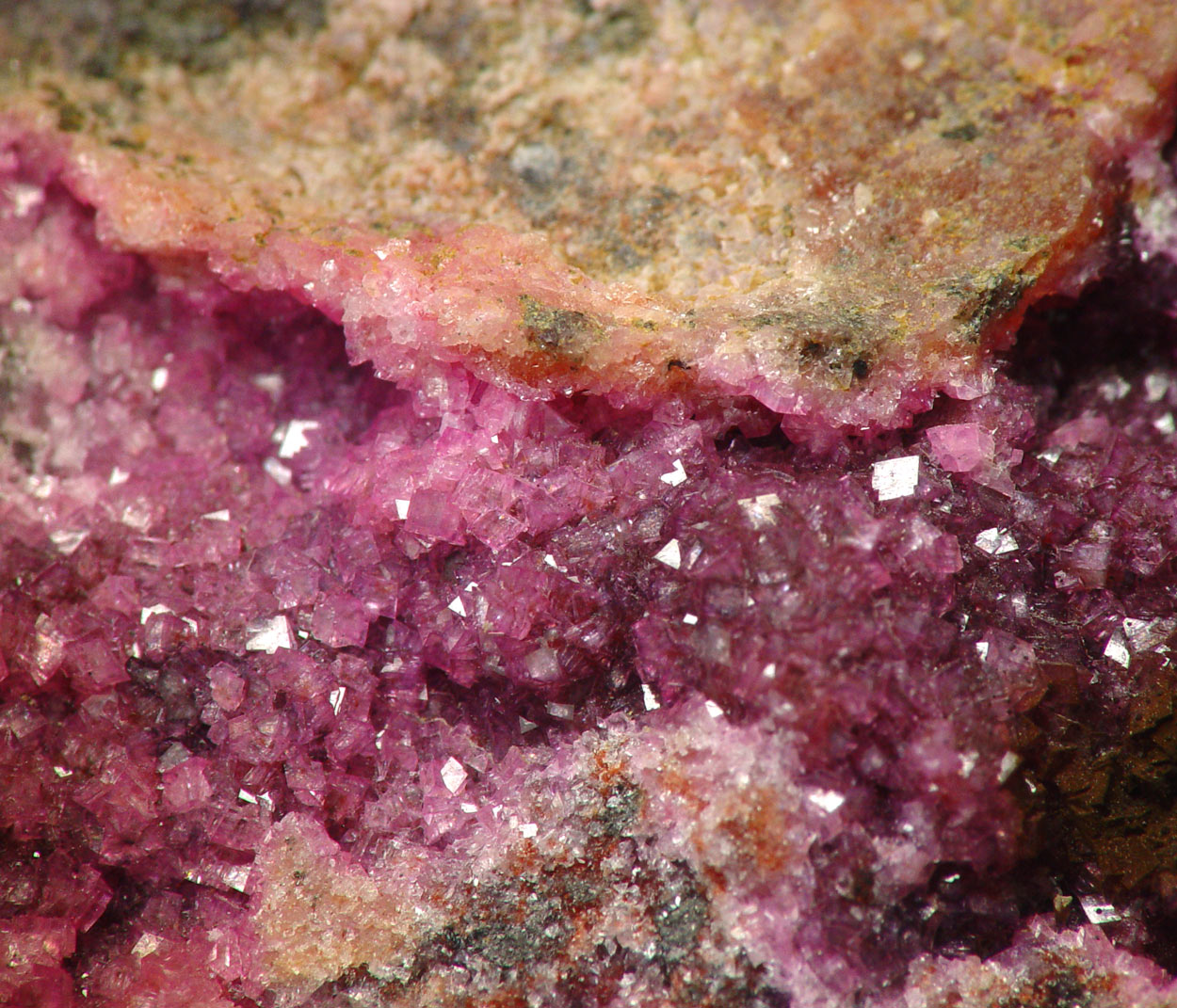 Spherocobaltite