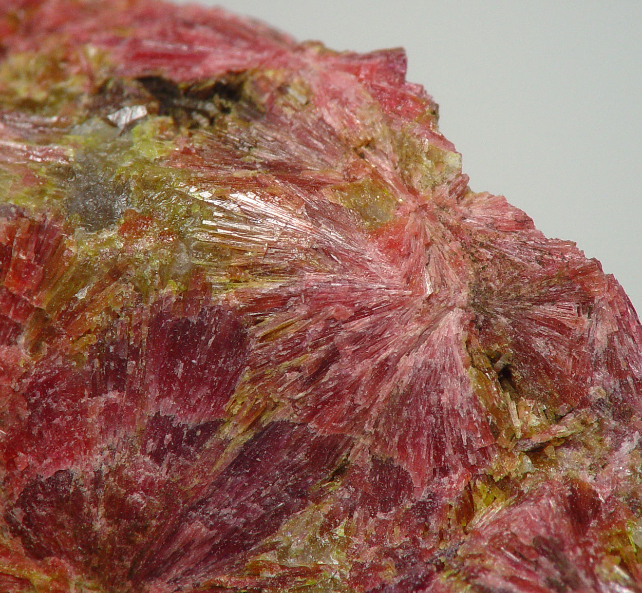 Clinozoisite