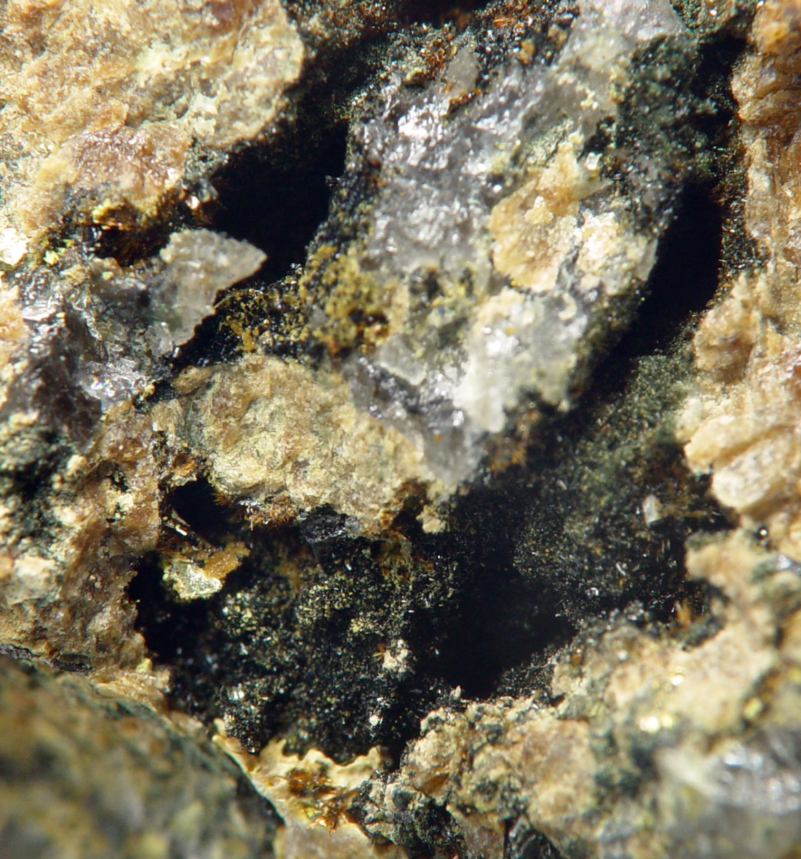 Wildenauerite