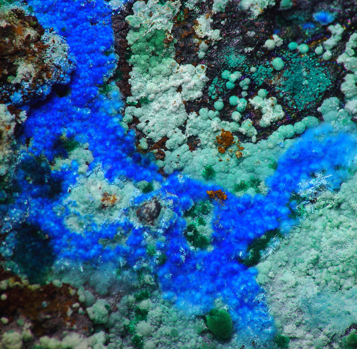 Cyanotrichite