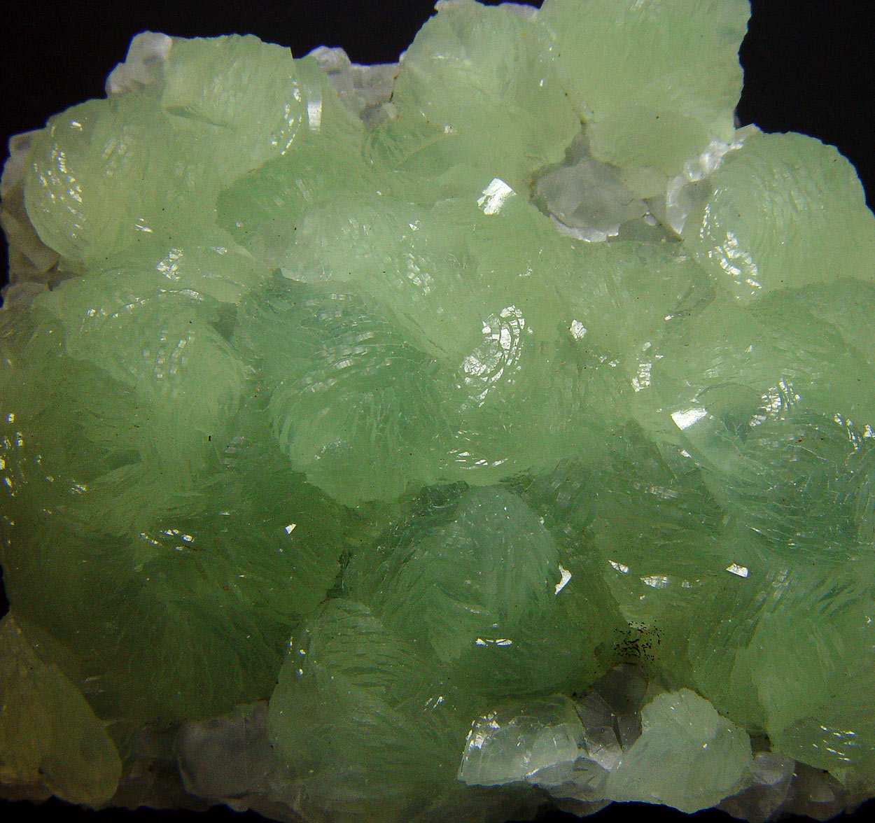 Prehnite