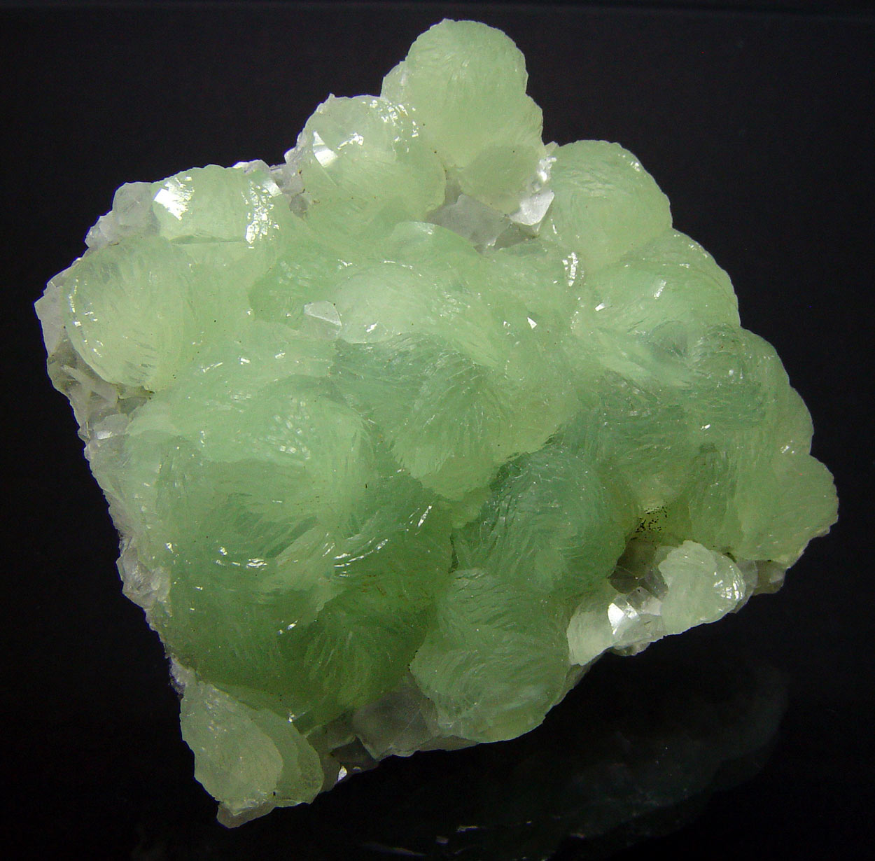 Prehnite