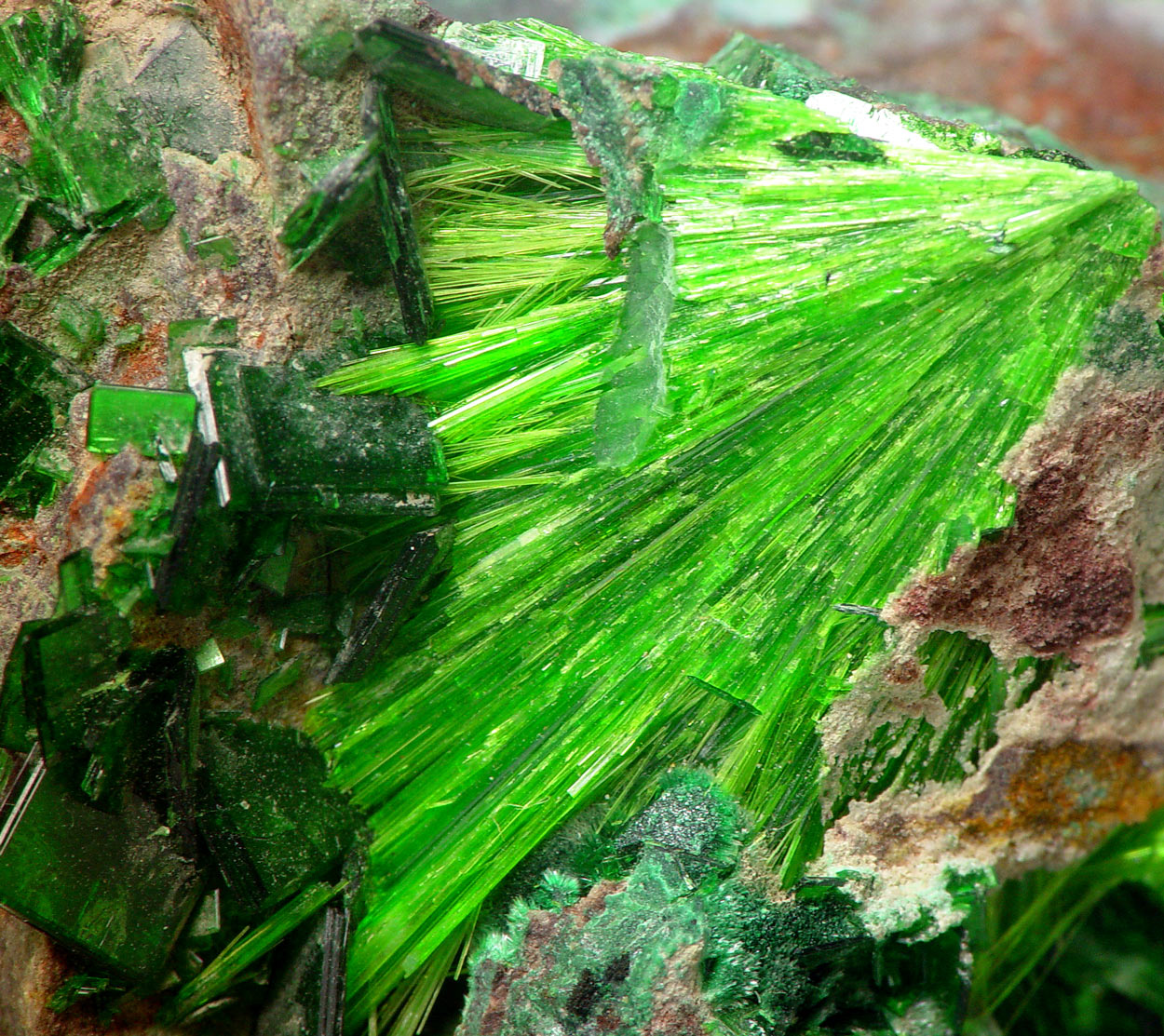 Cuprosklodowskite & Metatorbernite