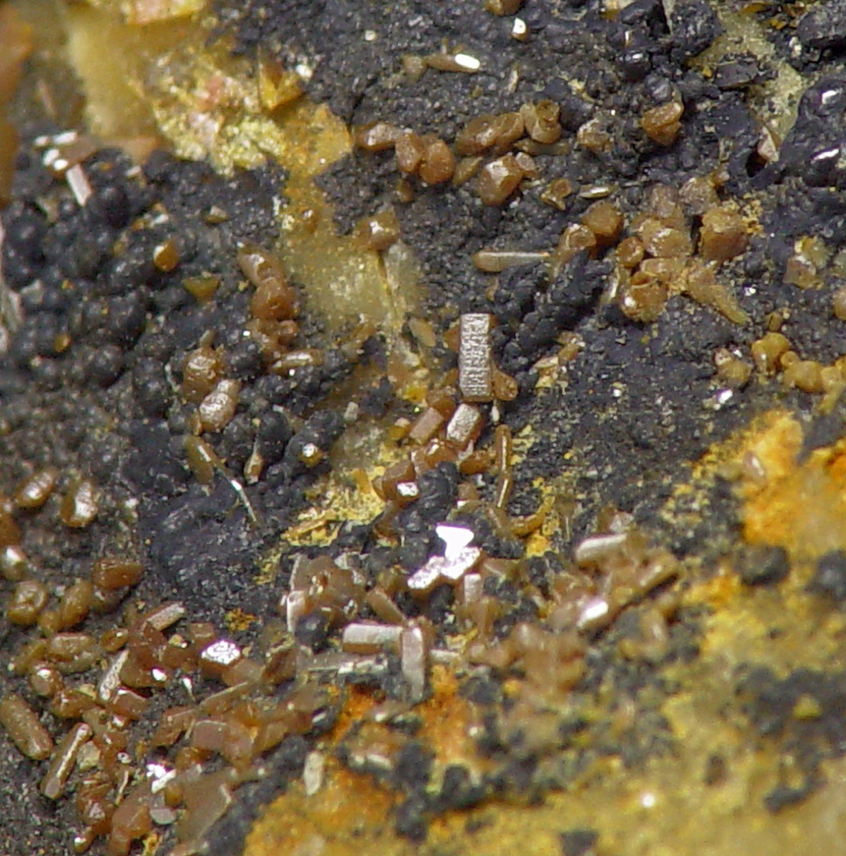 Pucherite