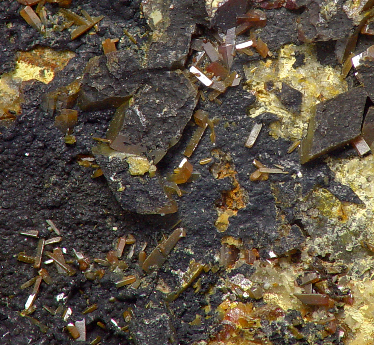 Pucherite