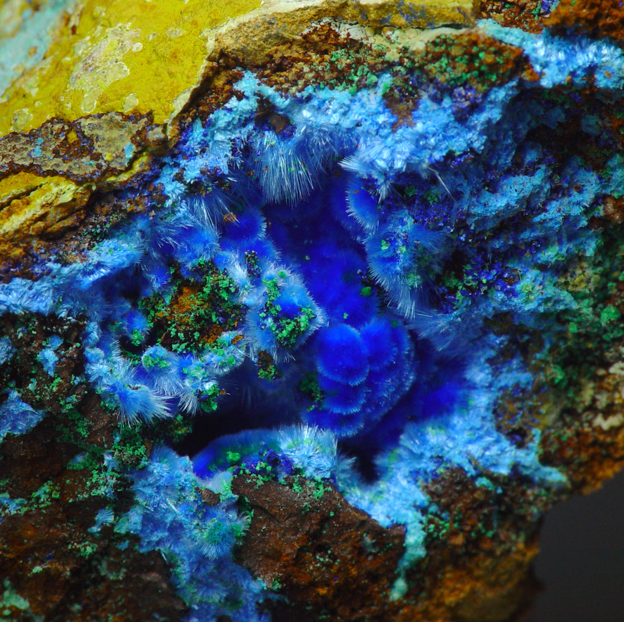 Cyanotrichite