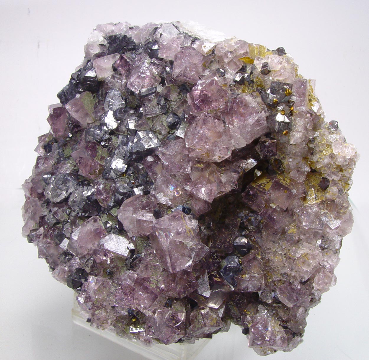 Fluorite & Galena