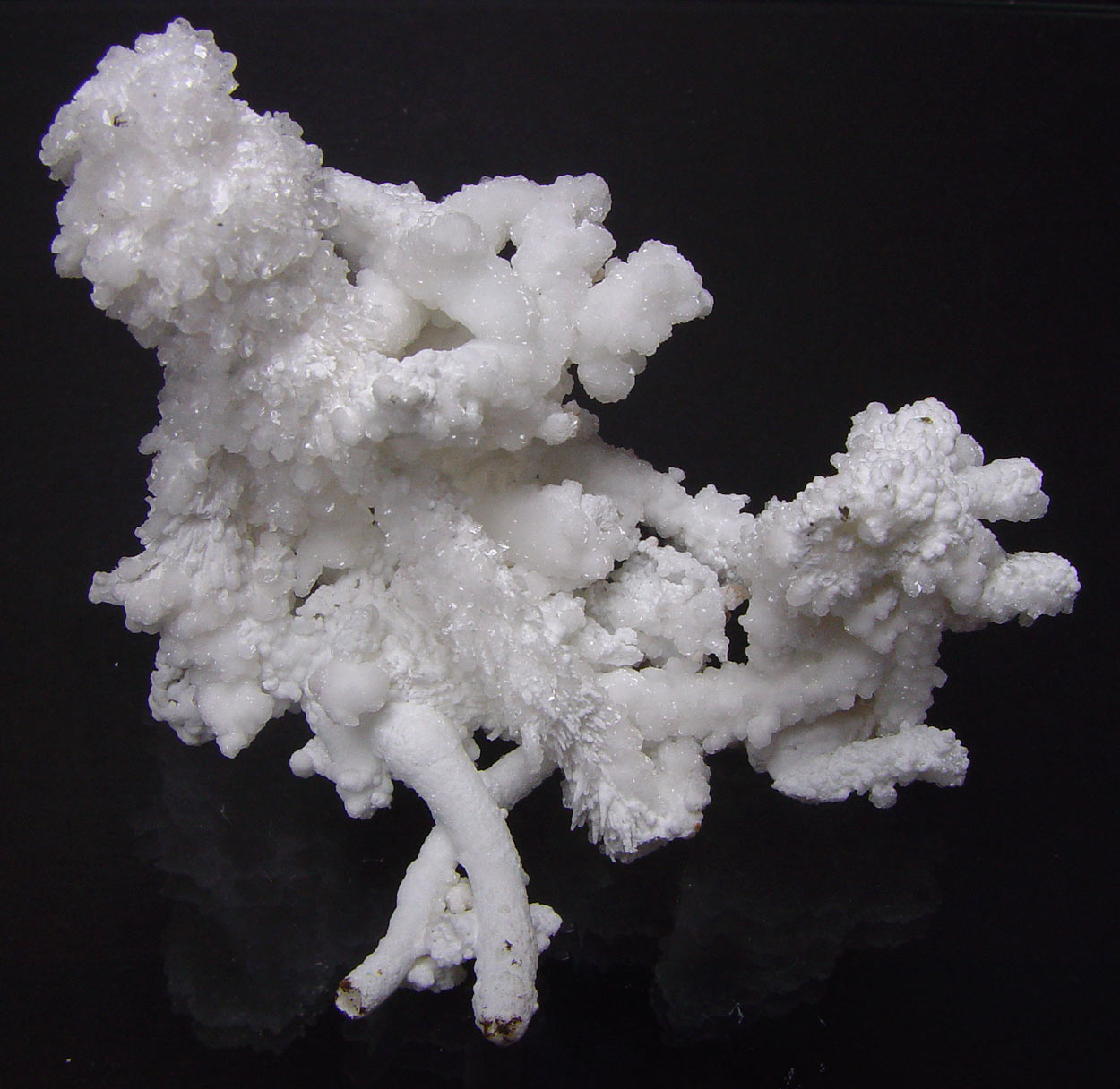 Aragonite