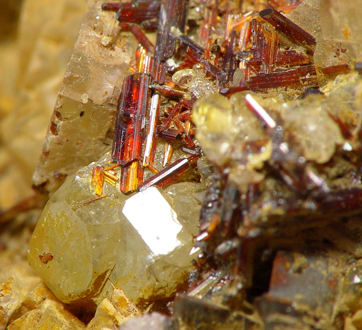 Rutile Var Sagenite & Apatite