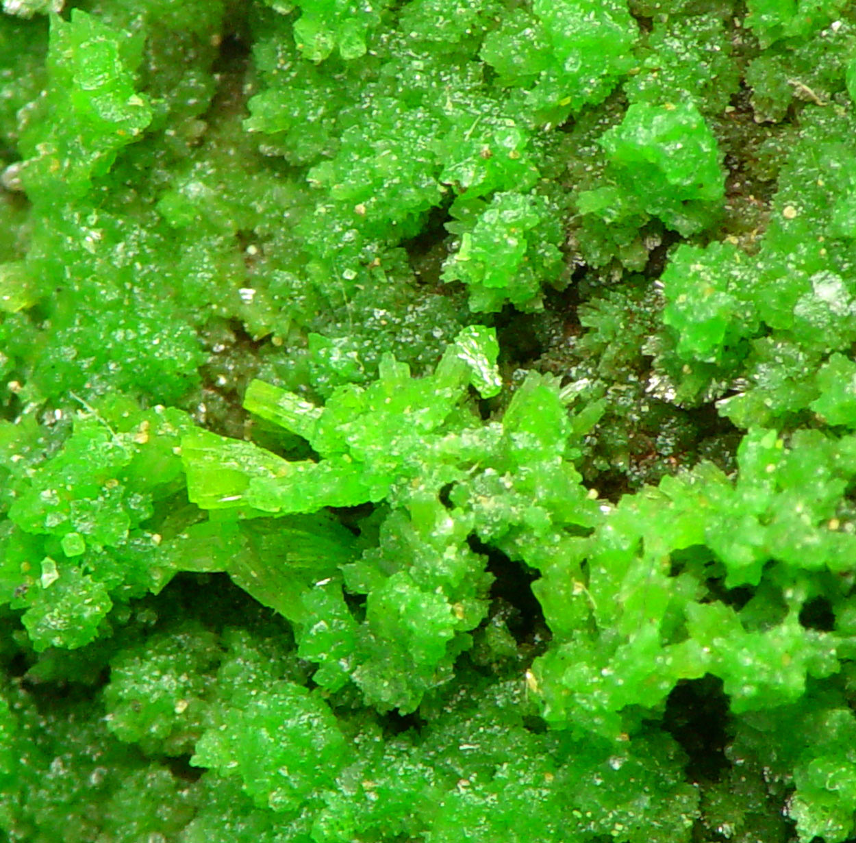 Pyromorphite