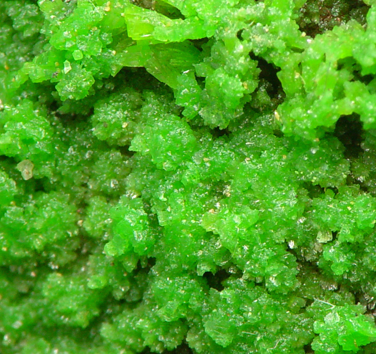 Pyromorphite