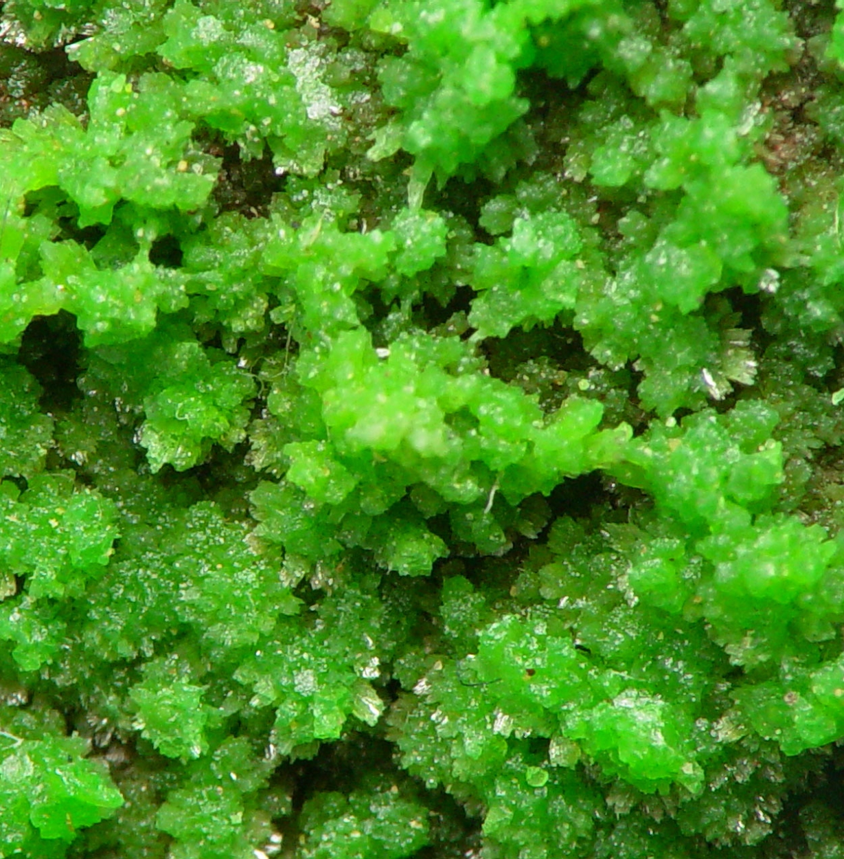 Pyromorphite