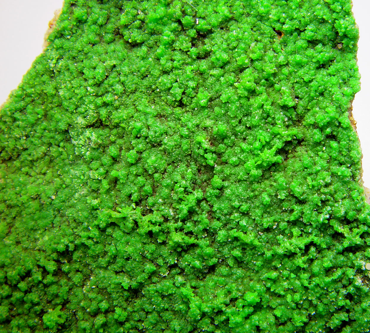 Pyromorphite