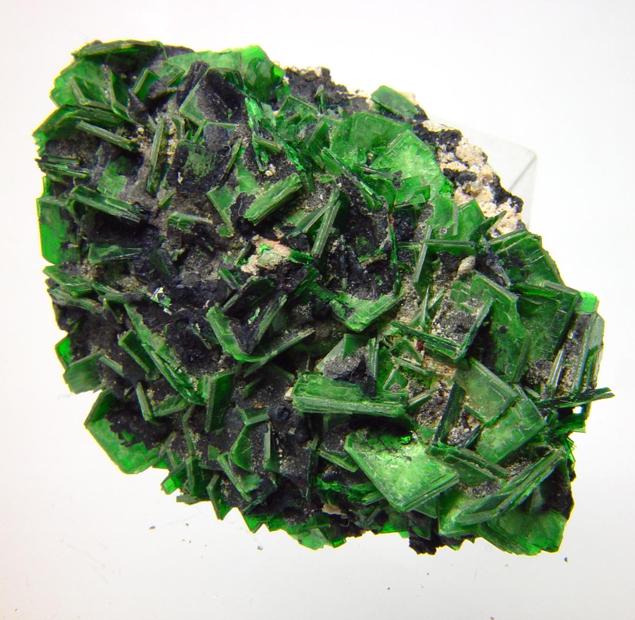 Torbernite