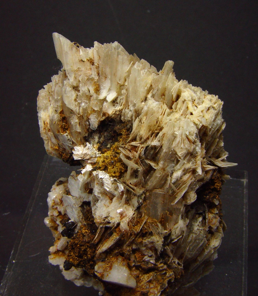 Eudidymite