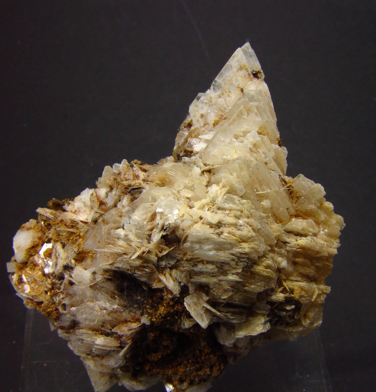 Eudidymite