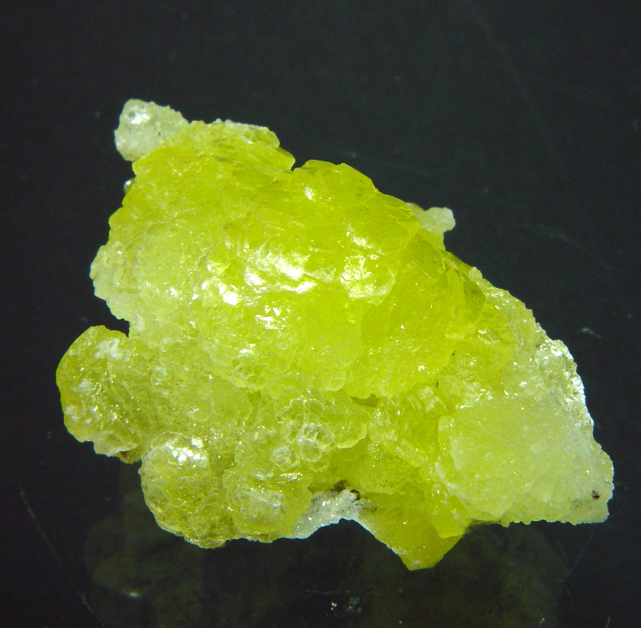 Brucite