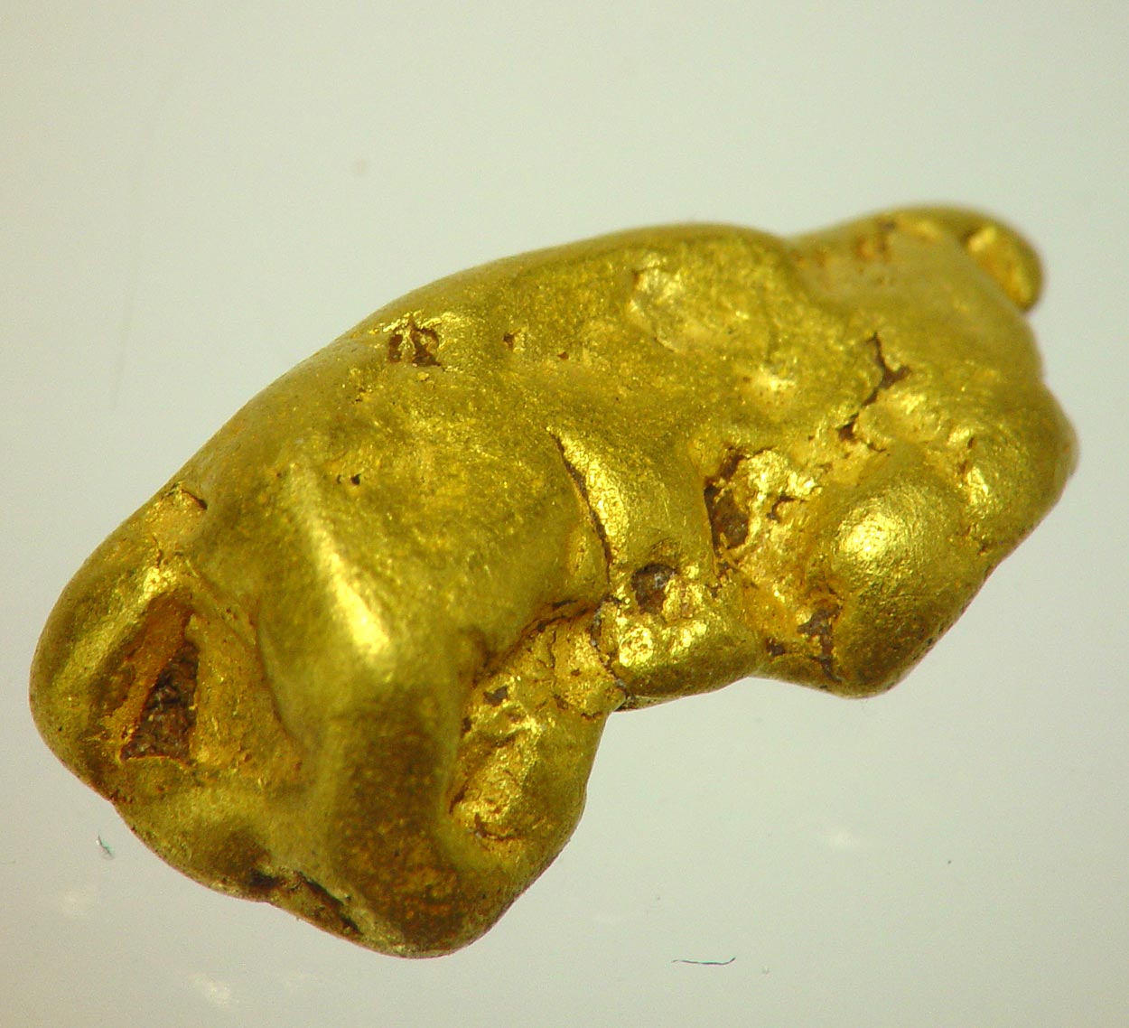 Gold Nugget