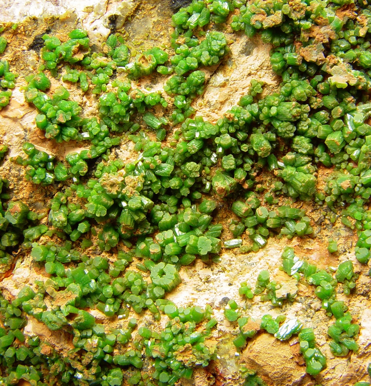 Pyromorphite