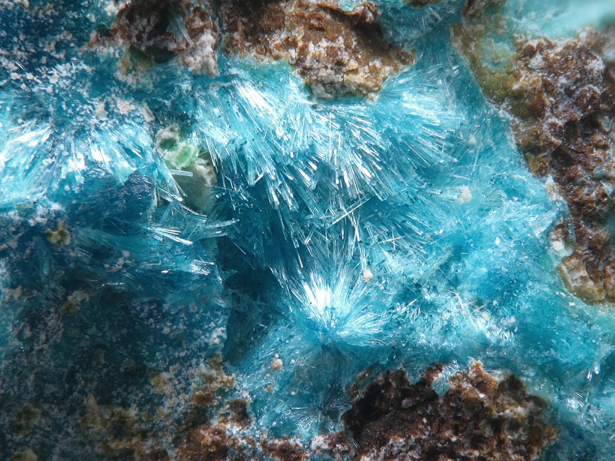 Guanacoite