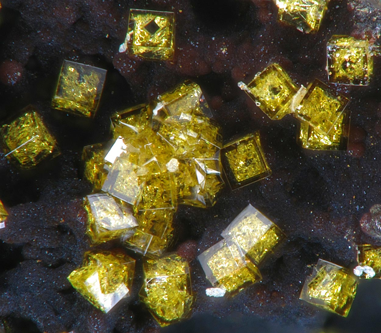 Kintoreite