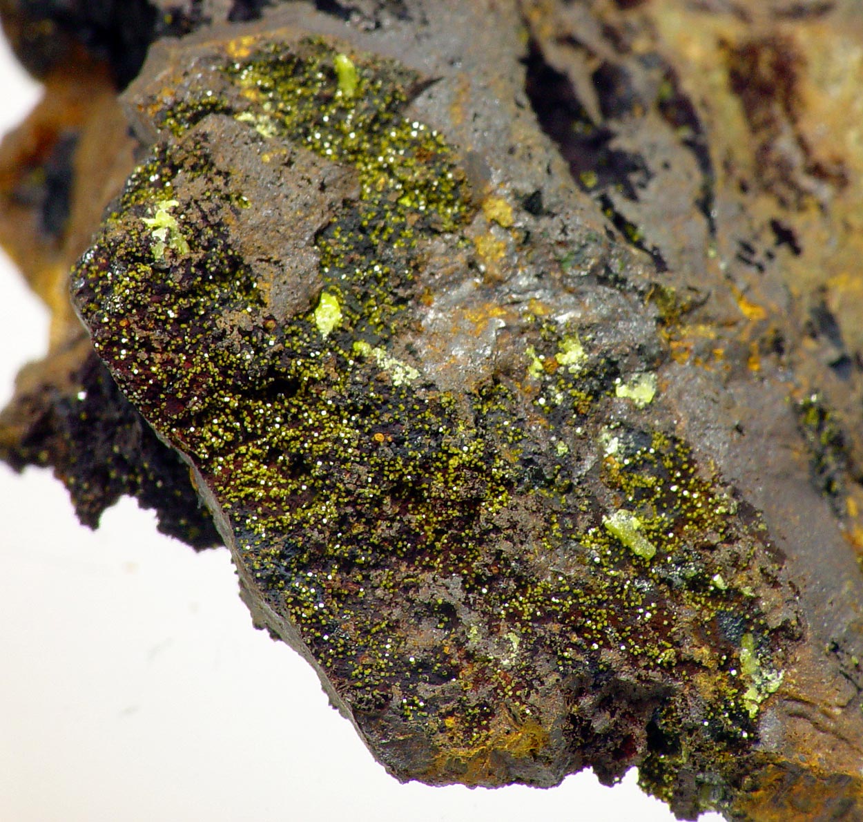 Kintoreite