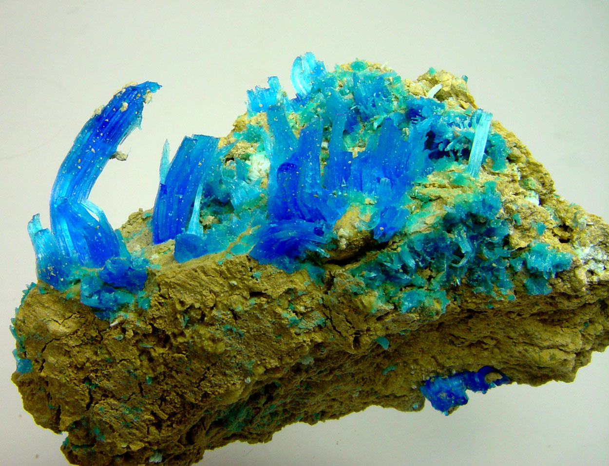 Chalcanthite