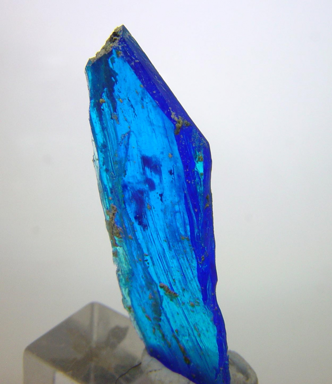 Chalcanthite