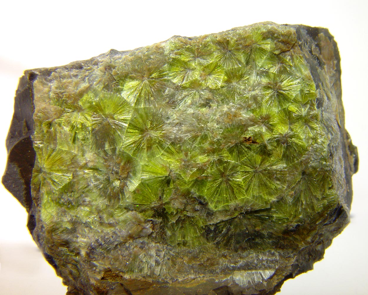 Wavellite