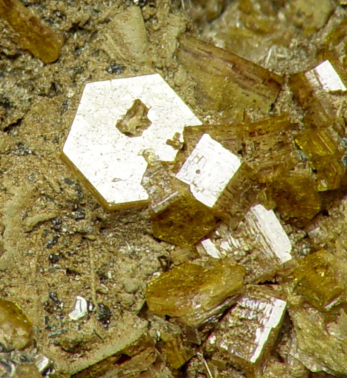 Pyrosmalite-(Fe)