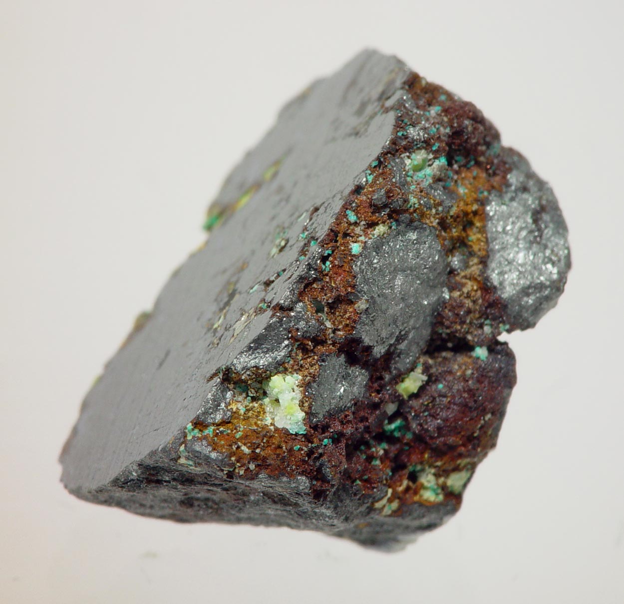 Eldragónite & Watkinsonite