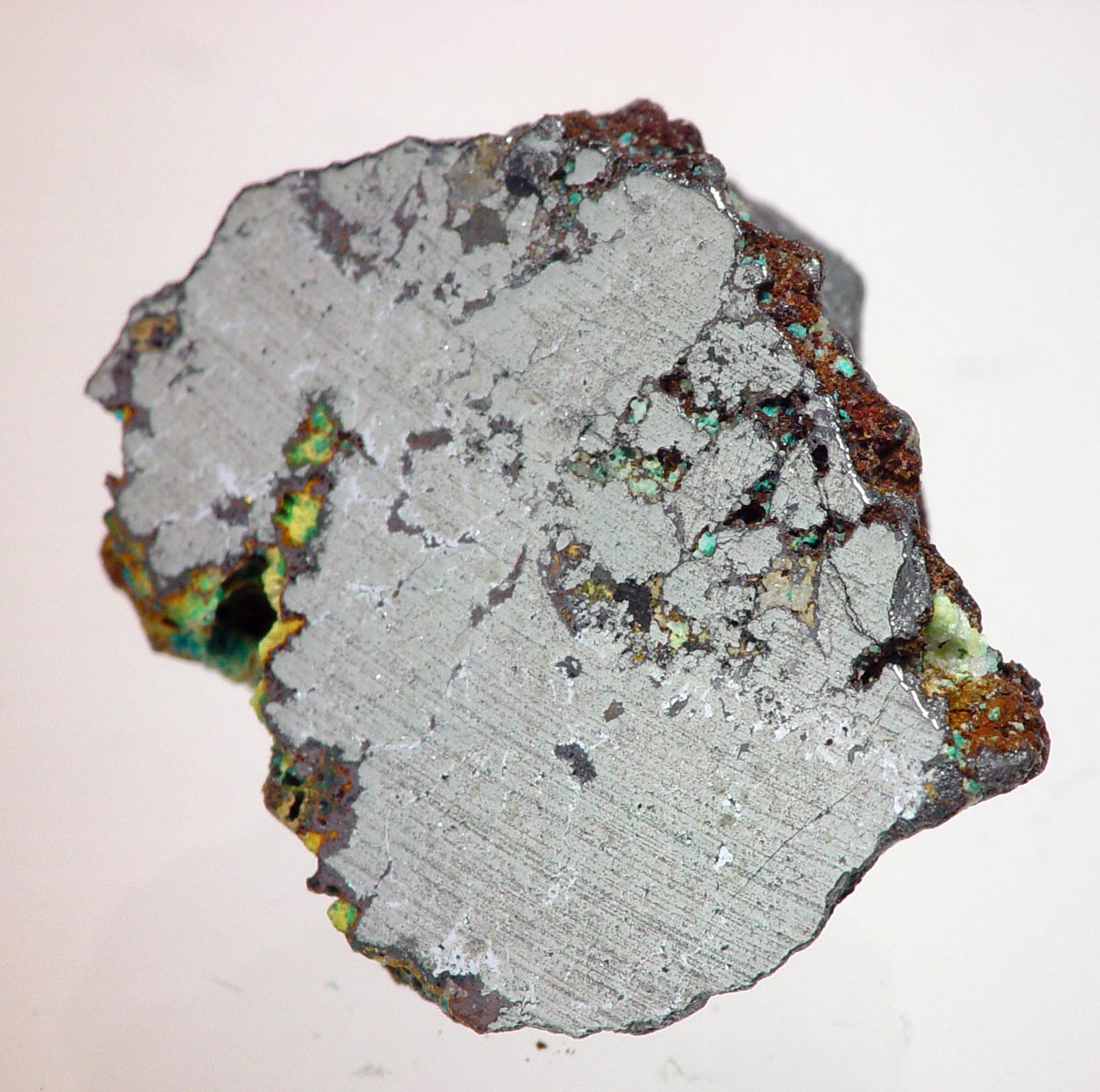 Eldragónite & Watkinsonite