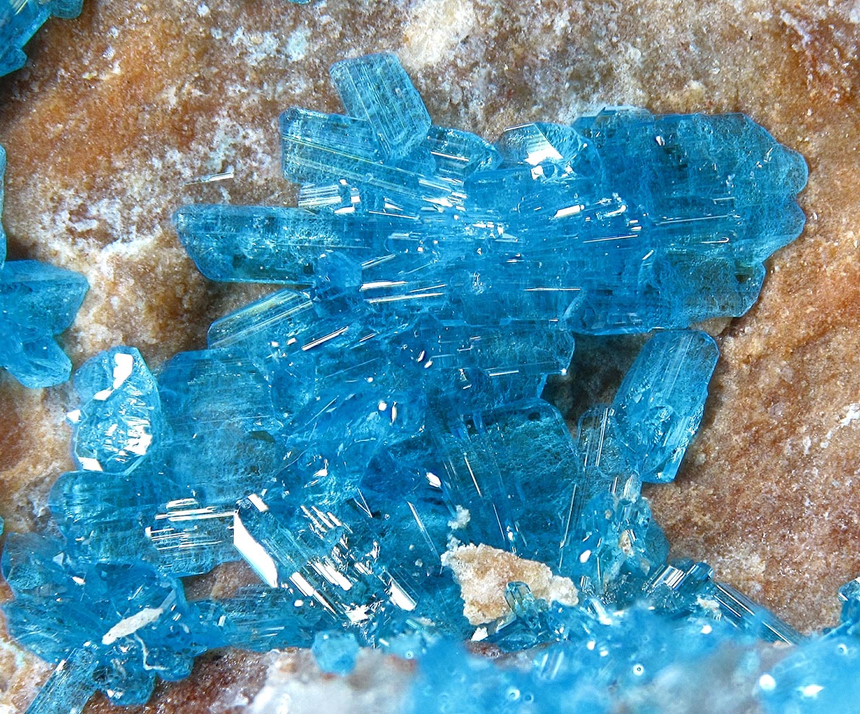 Caledonite