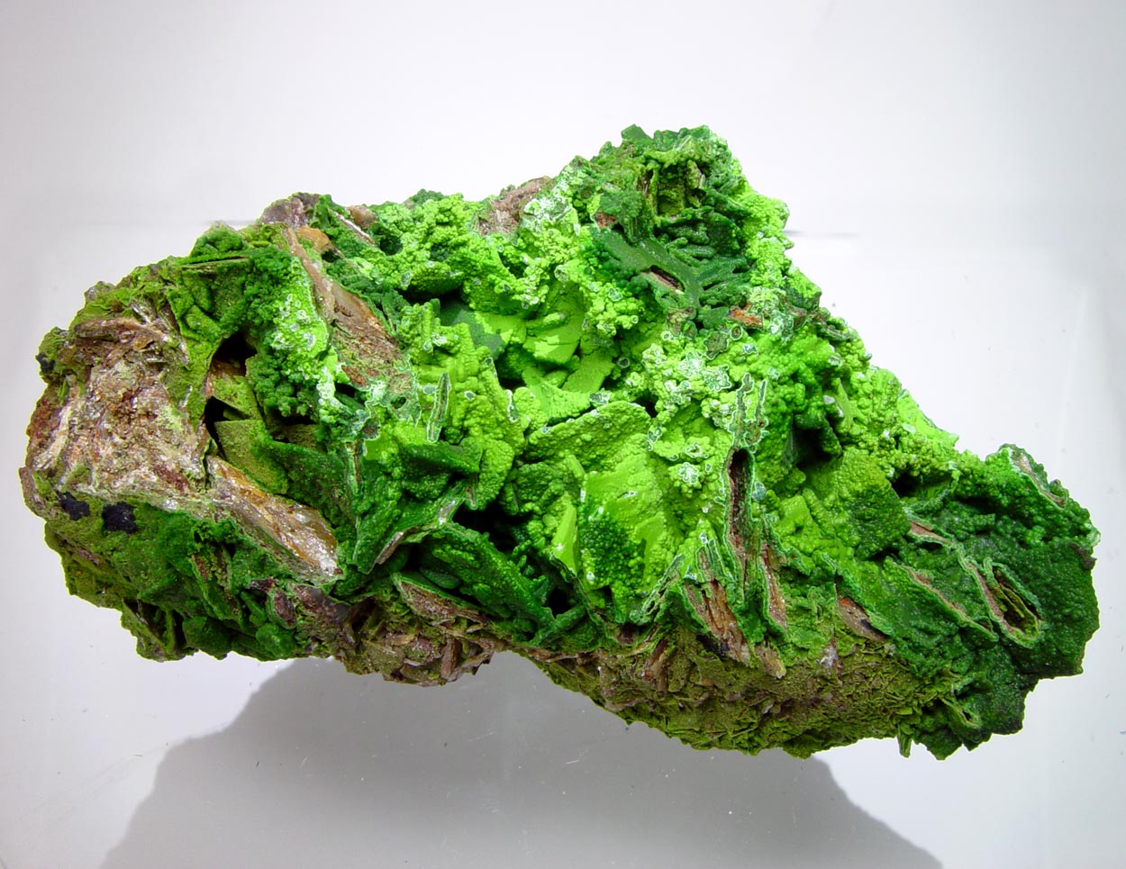 Conichalcite & Wulfenite