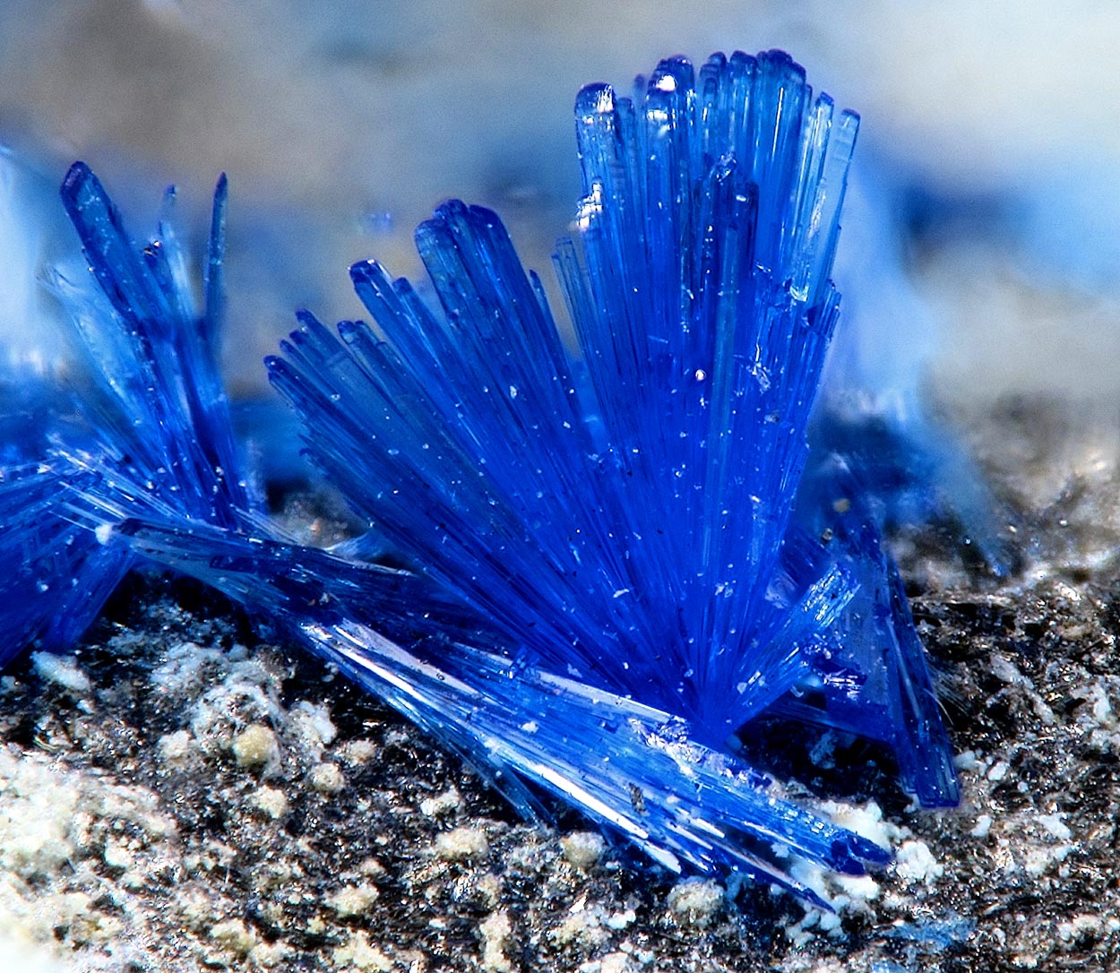 Linarite