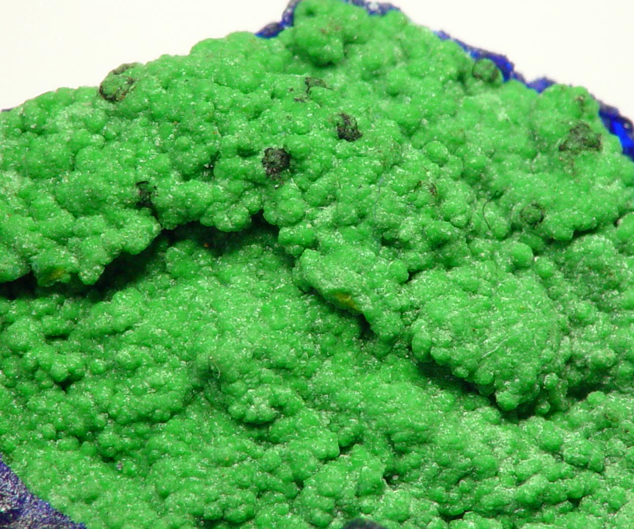 Bayldonite & Azurite