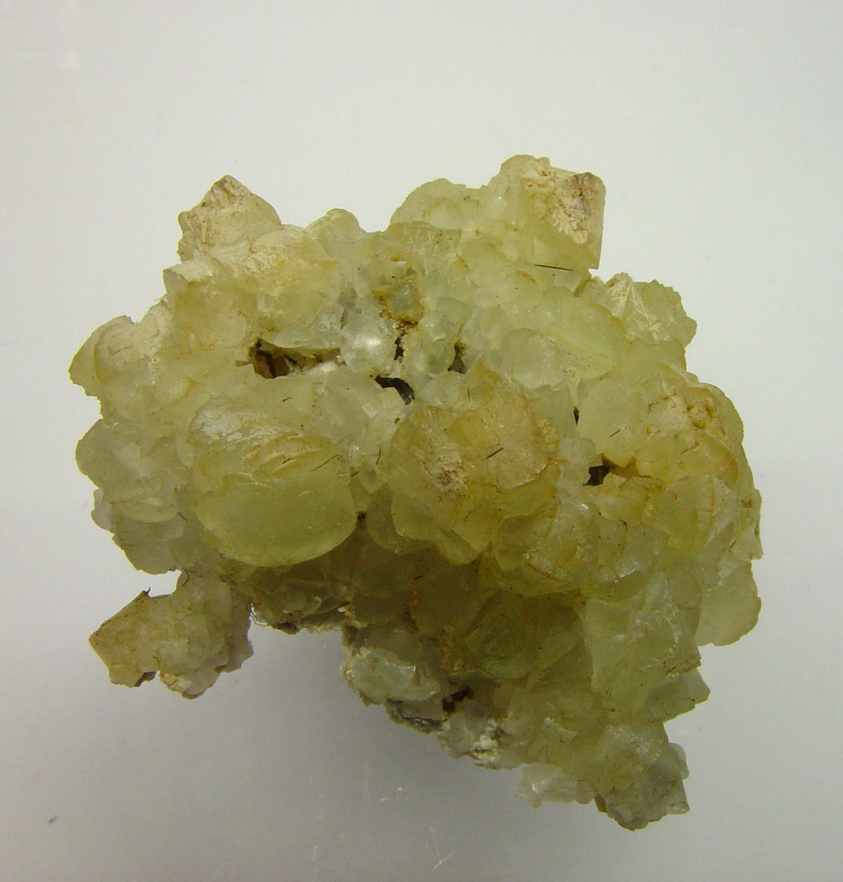 Prehnite